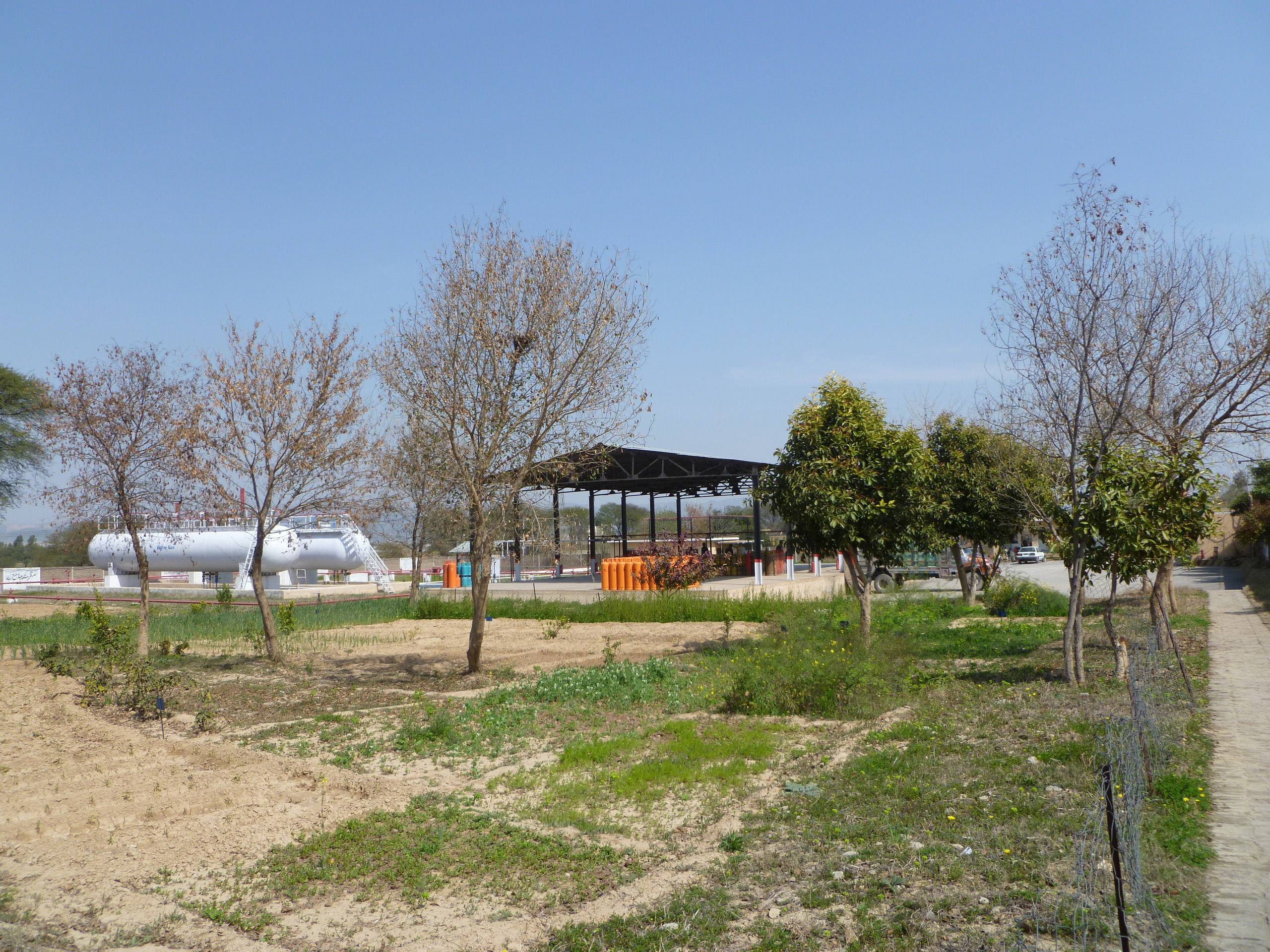 Plant Operations